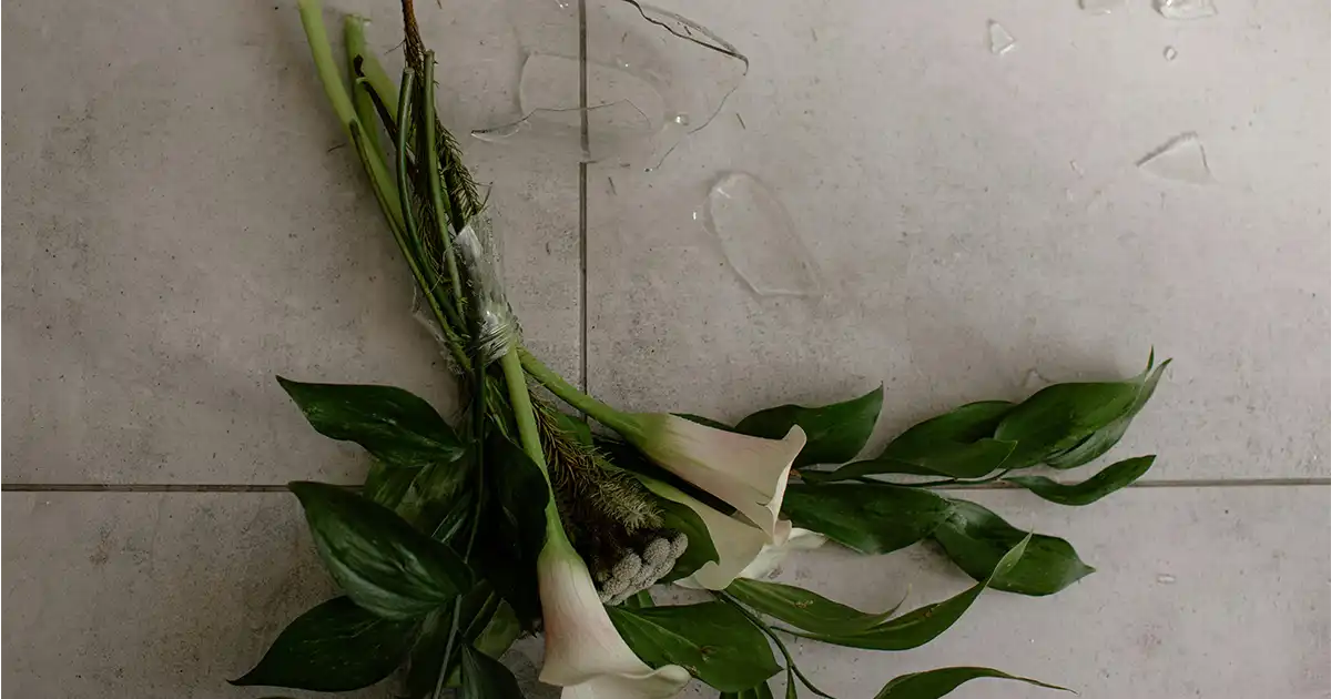 Accidentes domésticos que cubre tu seguro de hogar